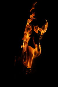 Close-up of bonfire against black background