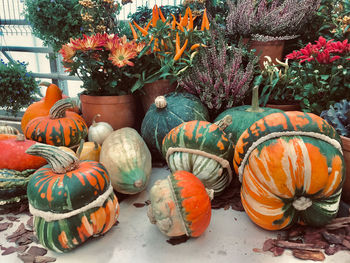 View of pumpkins in market