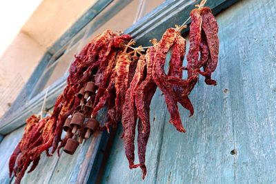 Low angle view of chillis drying on rope