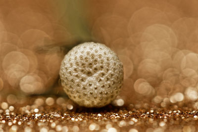 Close-up of a ball