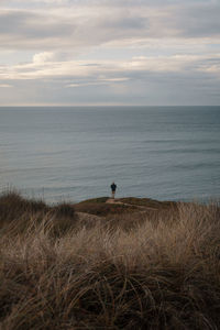 Rear view of man looking at sea against sky