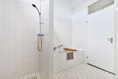 View of white cat on tiled floor at home