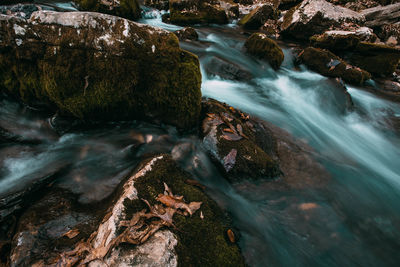 View of waterfall in forest