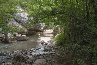 River flowing through rocks in forest