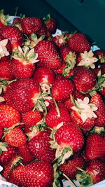 Close-up of strawberries