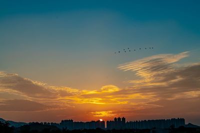 Silhouette birds flying against sky during sunset