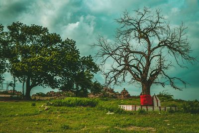 Trees on field against sky