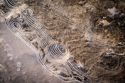 High angle view of patterned landscape