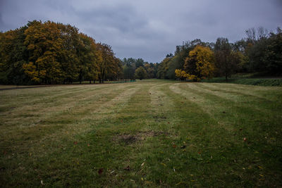 Trees on grassy field against cloudy sky