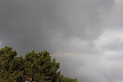 Low angle view of rainbow over trees against sky