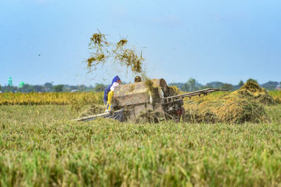 agriculture