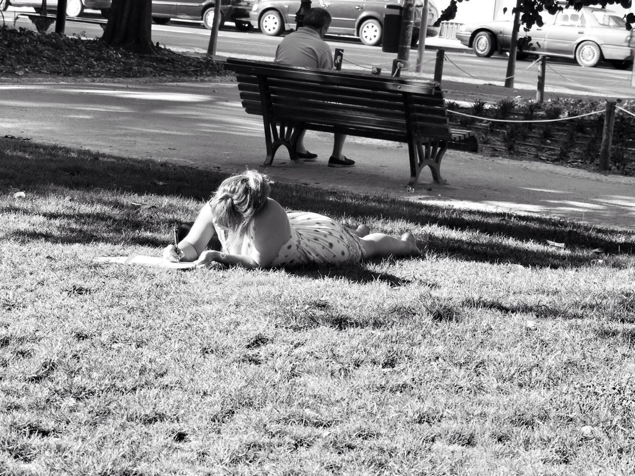 animal themes, grass, bird, sunlight, field, shadow, day, park - man made space, outdoors, animals in the wild, street, wildlife, nature, incidental people, full length, relaxation, two animals, no people, road, one animal