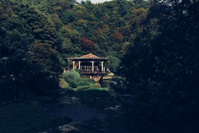 House amidst trees and plants in forest