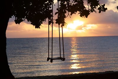 Silhouette tree by sea against sky during sunset