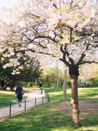 Rear view of a man on woman in park