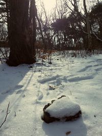 Scenic view of snow covered landscape