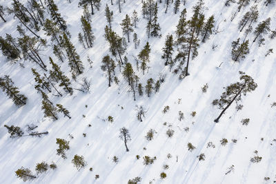 High angle view of snow covered land