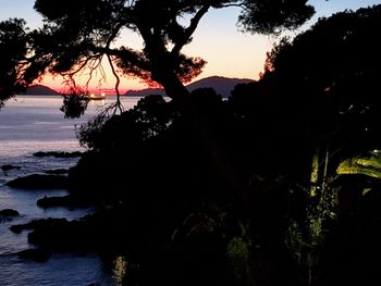 Silhouette trees by sea against sky during sunset