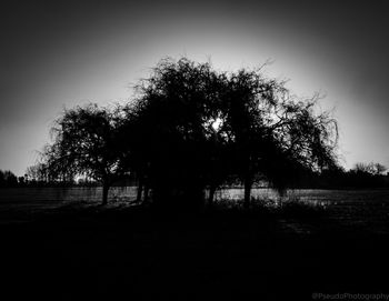Silhouette trees on field against clear sky