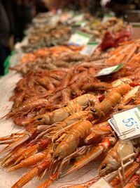 Close-up of fish for sale in market