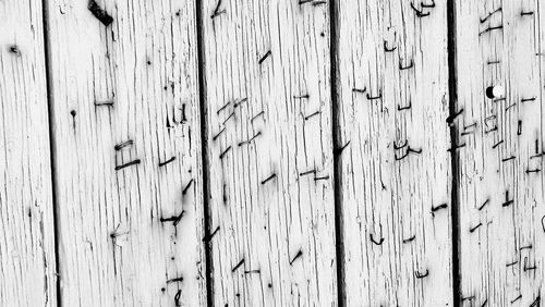 Full frame shot of brick wall