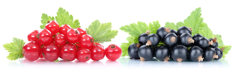 Close-up of fruits against white background