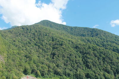 Low angle view of green landscape against sky