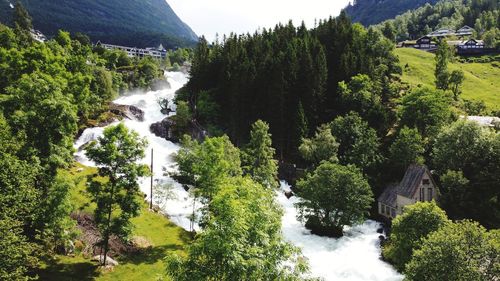 Panoramic view of waterfall in forest
