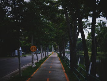 Empty bicycle path along trees