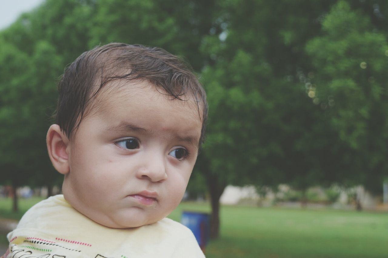 childhood, elementary age, leisure activity, tree, boys, headshot, close-up, person, looking at camera, focus on foreground, innocence, day, growth, toddler, green color