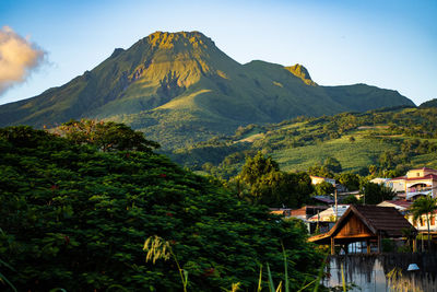 Scenic view of trees and mountains against sky