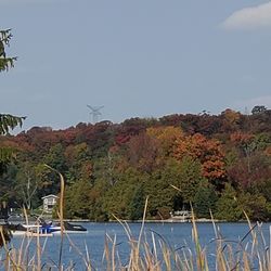 Scenic view of lake against clear sky during autumn