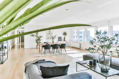 Potted plants on table at home