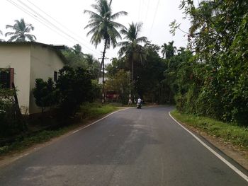 Road amidst trees against sky