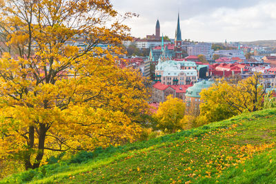 Trees and buildings against sky