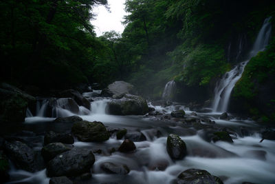 Scenic view of waterfall in forest