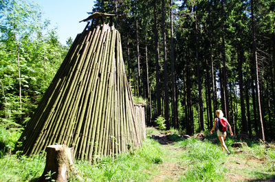 Woman standing by trees in forest