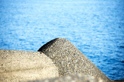 Close-up of rock by sea