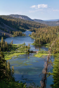 Twin lakes viewed from above in mammoth lakes california