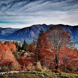 Trees on mountain against sky during autumn