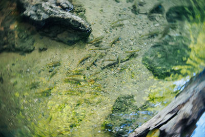 Full frame shot of water