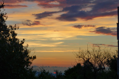 Silhouette of trees against cloudy sky during sunset