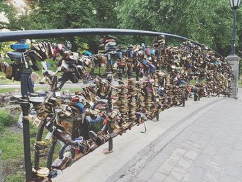 Group of people on bicycle against trees