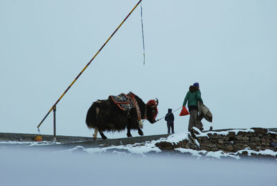 People on snow covered landscape against clear sky