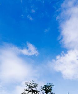 Low angle view of trees against cloudy sky