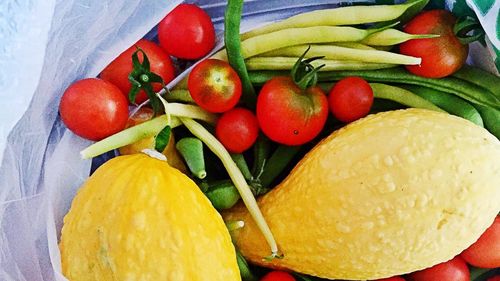 High angle view of tomatoes