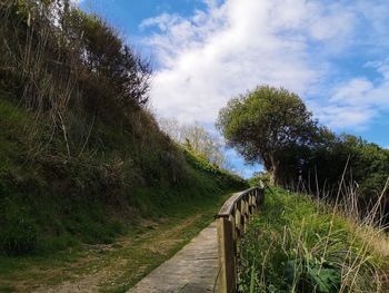 Footpath amidst trees on landscape against sky