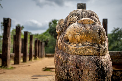 Close-up of wooden post