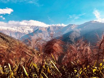 Panoramic view of mountains against sky