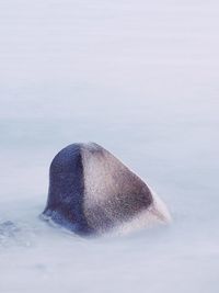 Close-up and long exposure of rock on sea shore during winter against water 